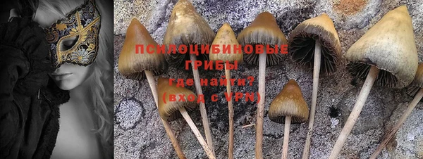 марки lsd Абаза