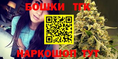 гашик Моздок