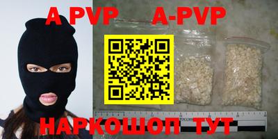 гашик Моздок