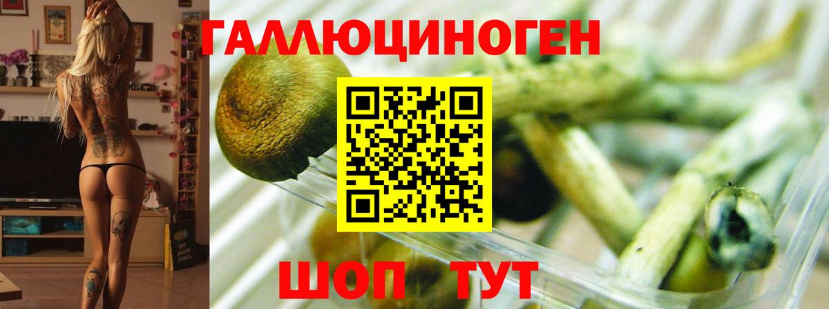 Богородицк  Галлюциногенные грибы ЛСД  Вход с VPN 