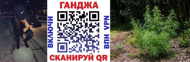 где купить наркотик  Богородицк  Канабис THC 21% 
